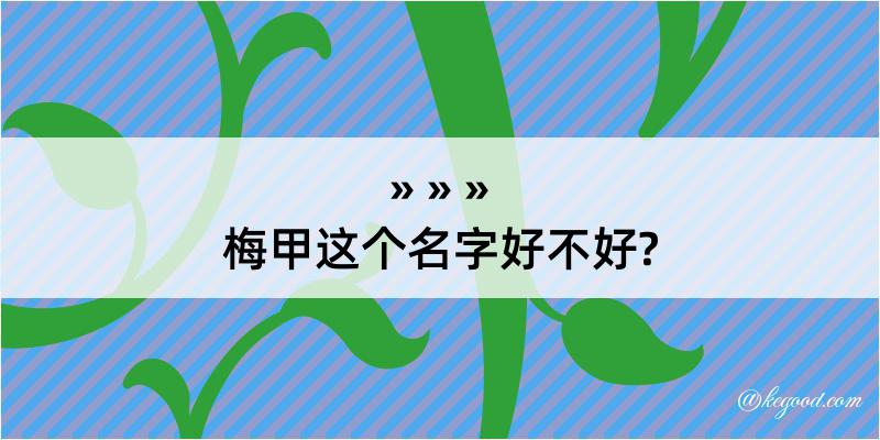 梅甲这个名字好不好?