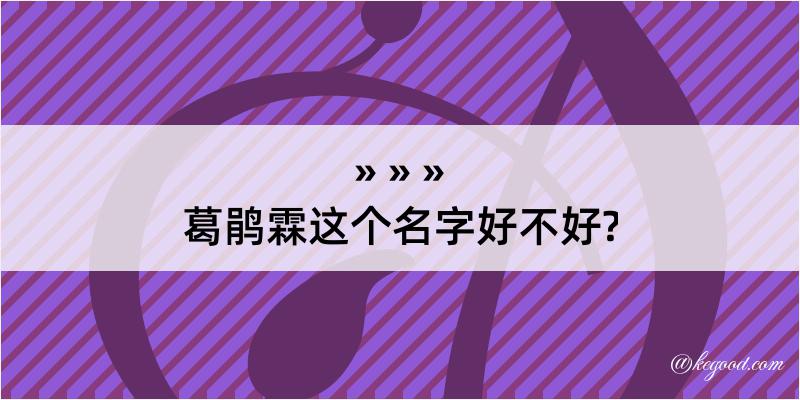 葛鹃霖这个名字好不好?