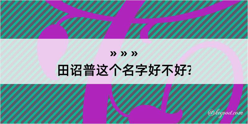 田诏普这个名字好不好?