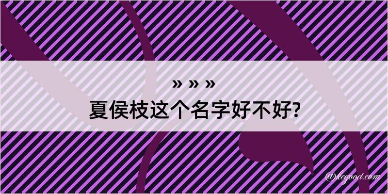 夏侯枝这个名字好不好?