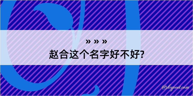 赵合这个名字好不好?