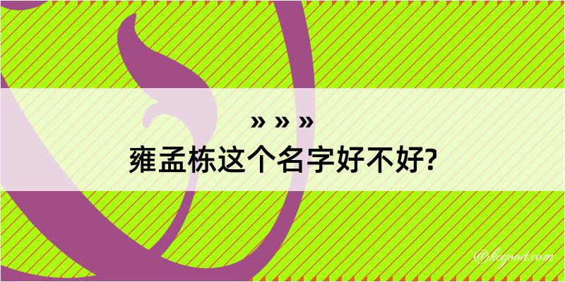 雍孟栋这个名字好不好?