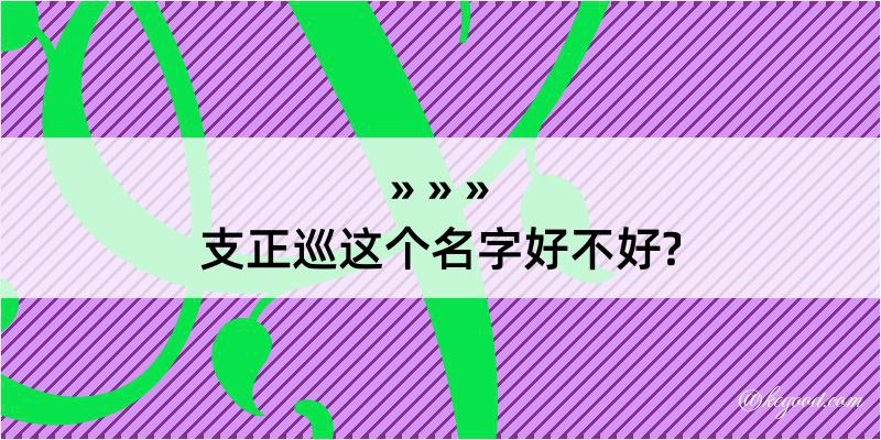 支正巡这个名字好不好?