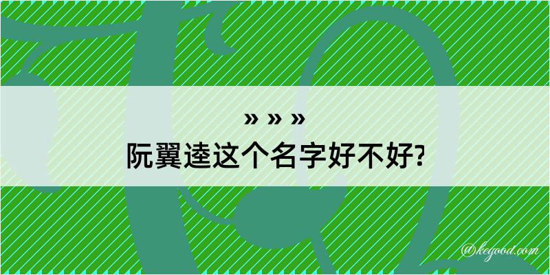 阮翼逵这个名字好不好?