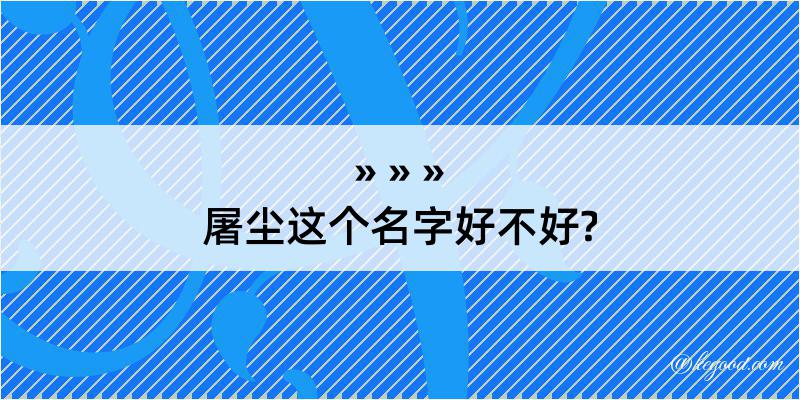 屠尘这个名字好不好?