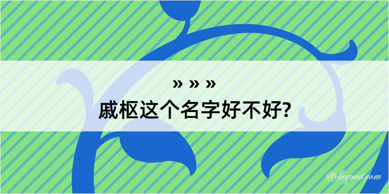 戚枢这个名字好不好?