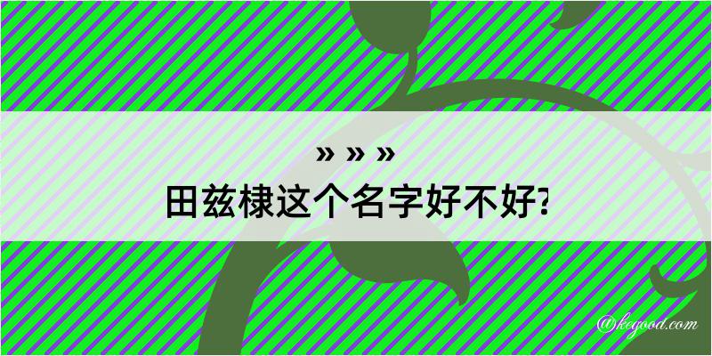 田兹棣这个名字好不好?