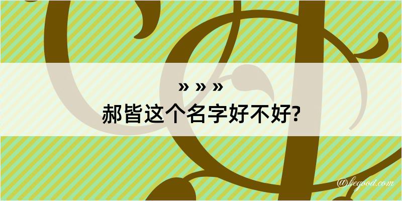 郝皆这个名字好不好?