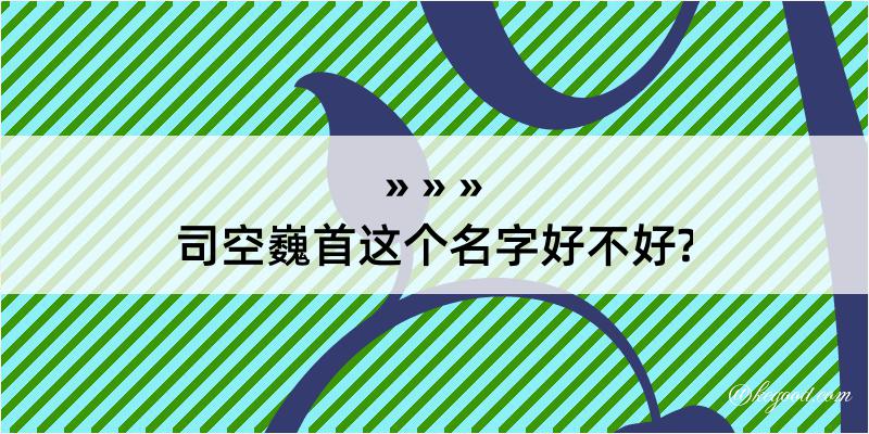 司空巍首这个名字好不好?