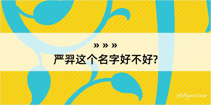 严羿这个名字好不好?