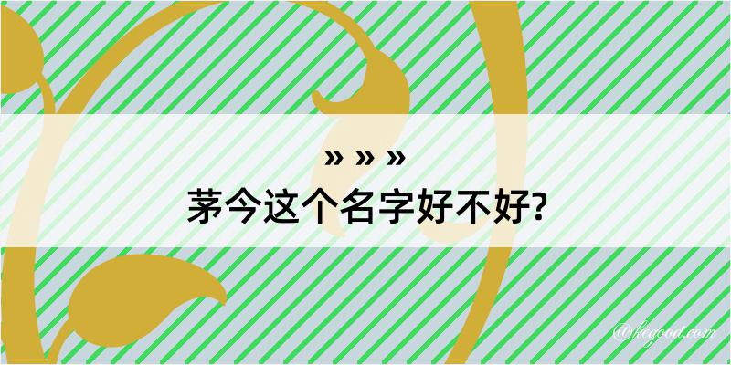 茅今这个名字好不好?