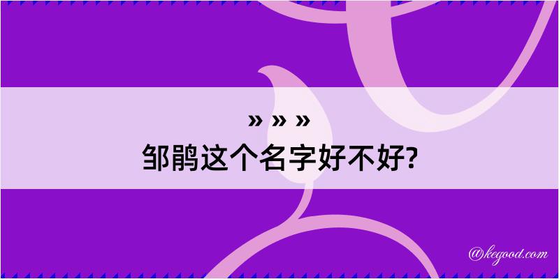 邹鹃这个名字好不好?