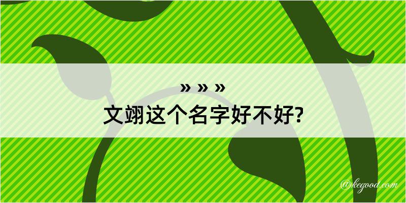 文翊这个名字好不好?