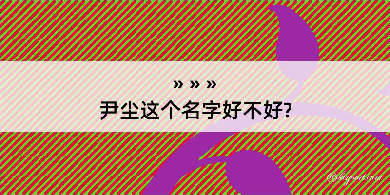 尹尘这个名字好不好?