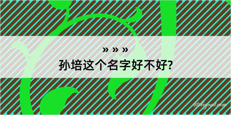 孙培这个名字好不好?