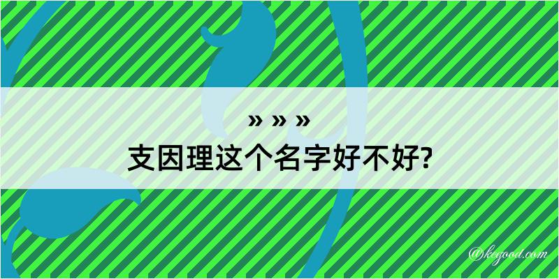 支因理这个名字好不好?