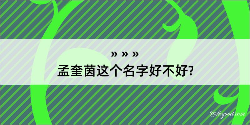 孟奎茵这个名字好不好?