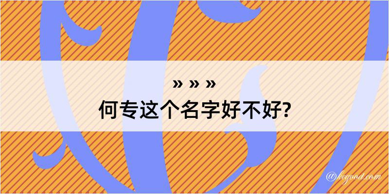 何专这个名字好不好?