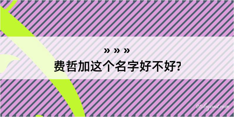 费哲加这个名字好不好?