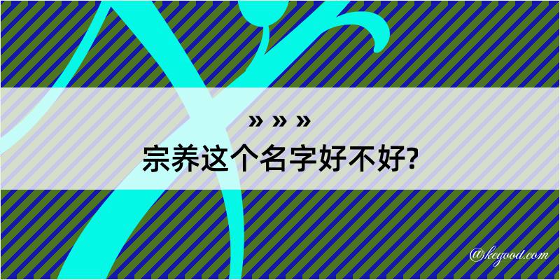 宗养这个名字好不好?