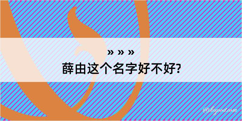 薛由这个名字好不好?