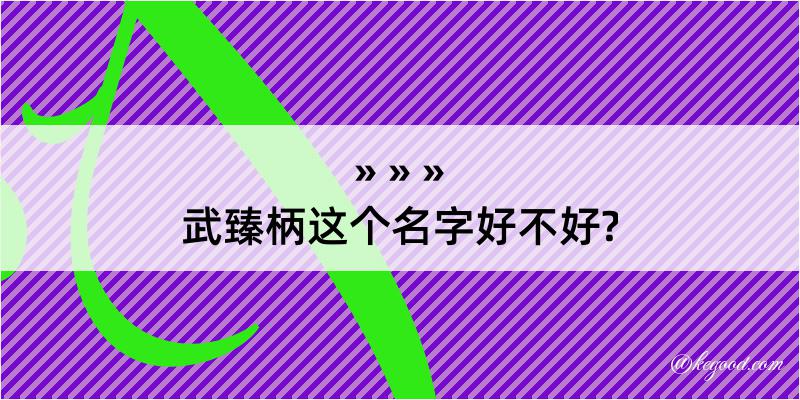 武臻柄这个名字好不好?