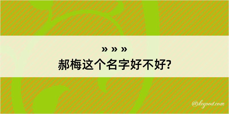 郝梅这个名字好不好?