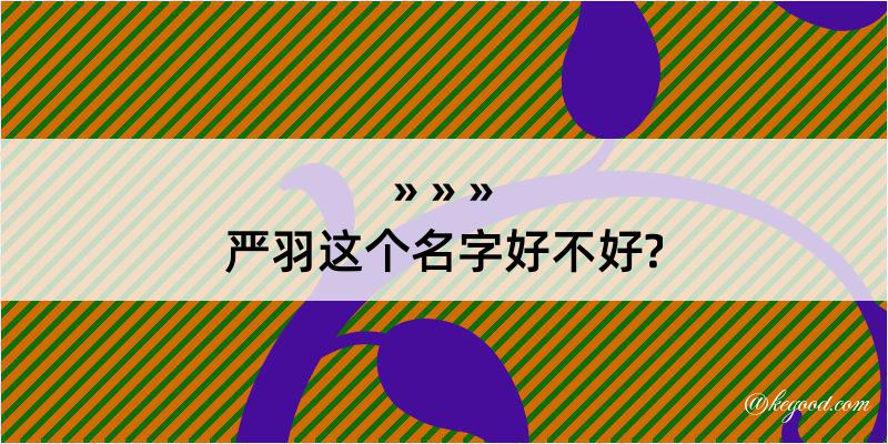 严羽这个名字好不好?