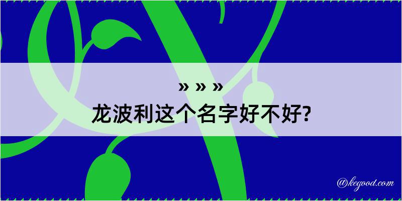 龙波利这个名字好不好?