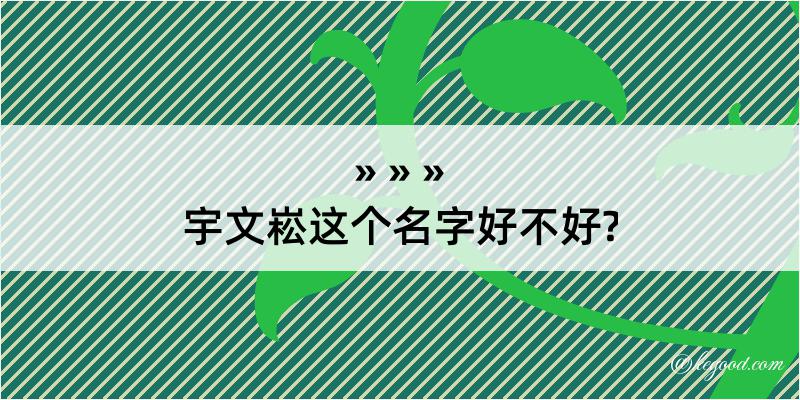 宇文崧这个名字好不好?