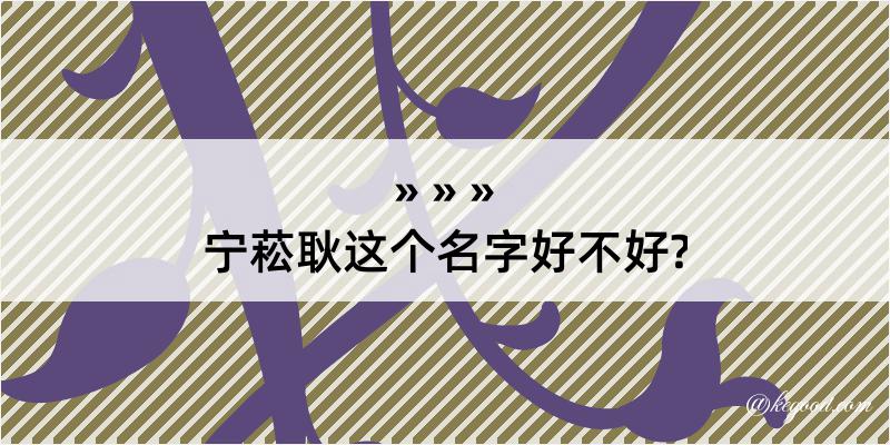 宁菘耿这个名字好不好?