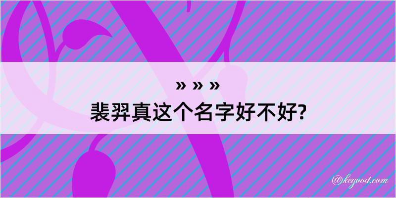 裴羿真这个名字好不好?