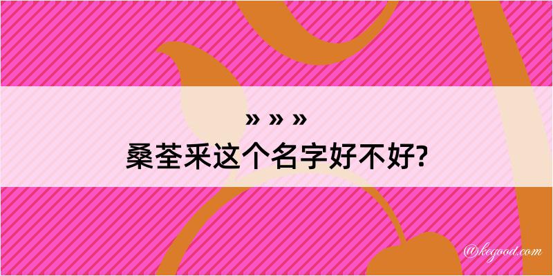 桑荃釆这个名字好不好?