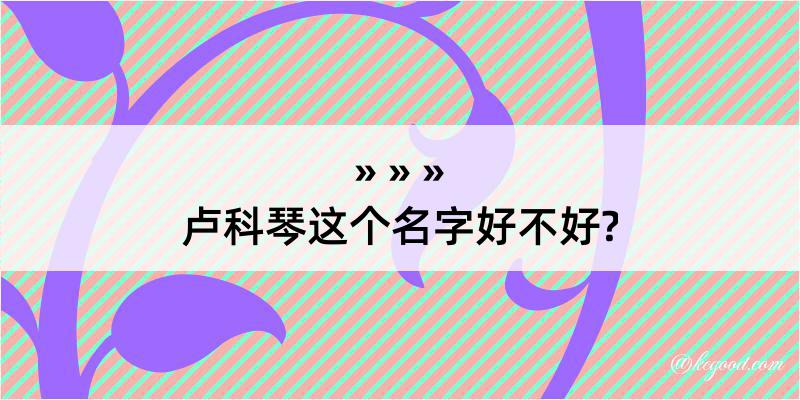 卢科琴这个名字好不好?