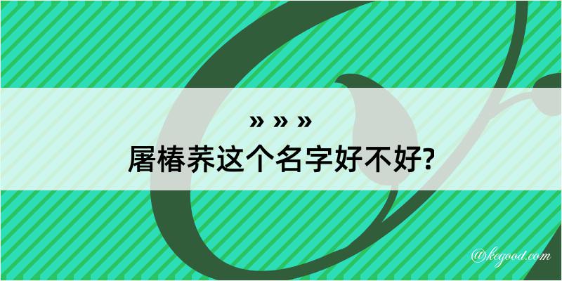 屠椿荞这个名字好不好?