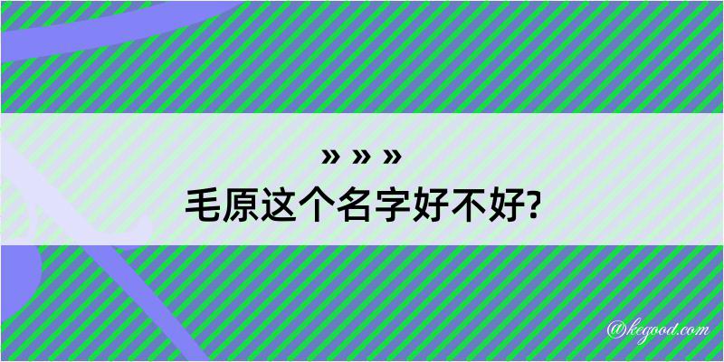 毛原这个名字好不好?