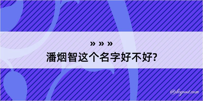 潘烟智这个名字好不好?