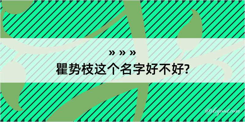 瞿势枝这个名字好不好?