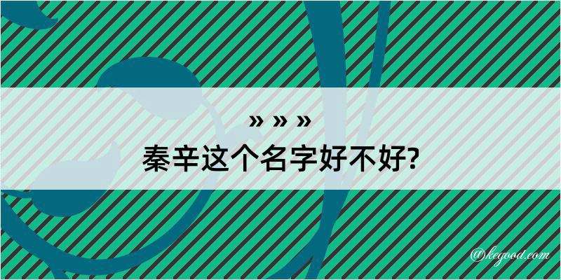 秦辛这个名字好不好?