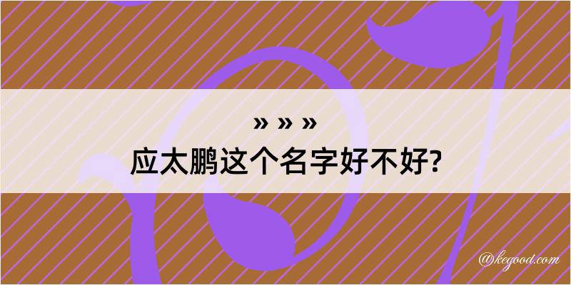 应太鹏这个名字好不好?