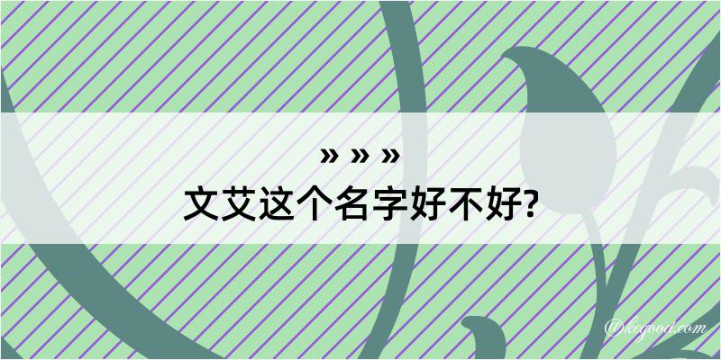 文艾这个名字好不好?