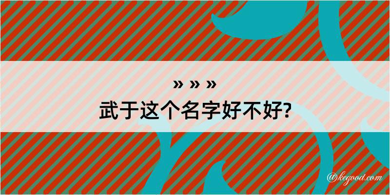 武于这个名字好不好?