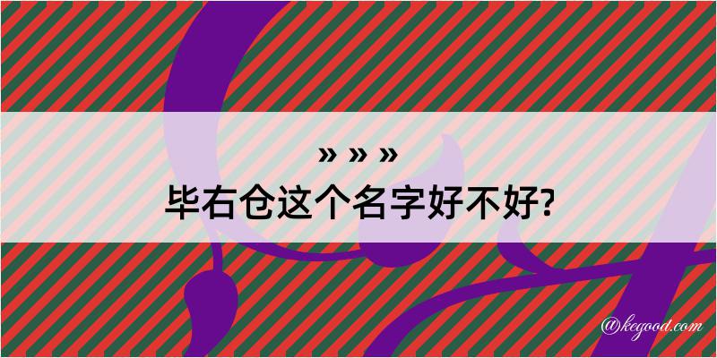 毕右仓这个名字好不好?