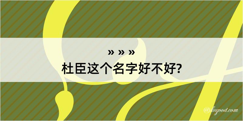 杜臣这个名字好不好?