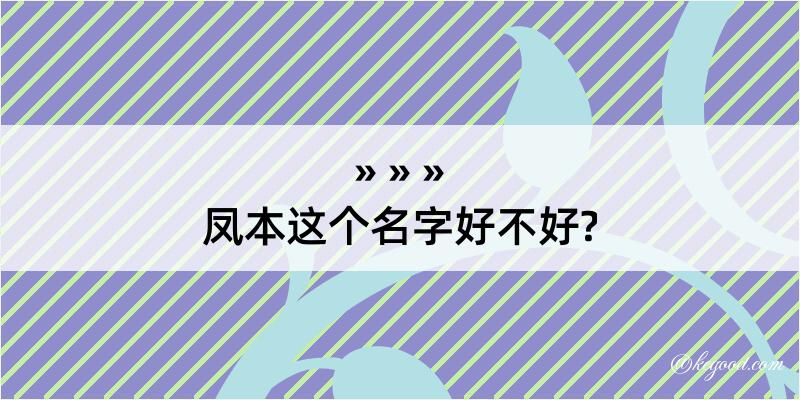 凤本这个名字好不好?