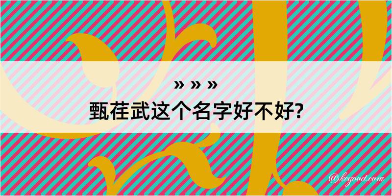 甄荏武这个名字好不好?