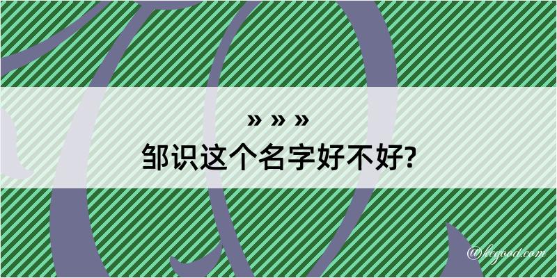 邹识这个名字好不好?