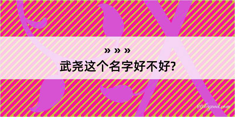 武尧这个名字好不好?