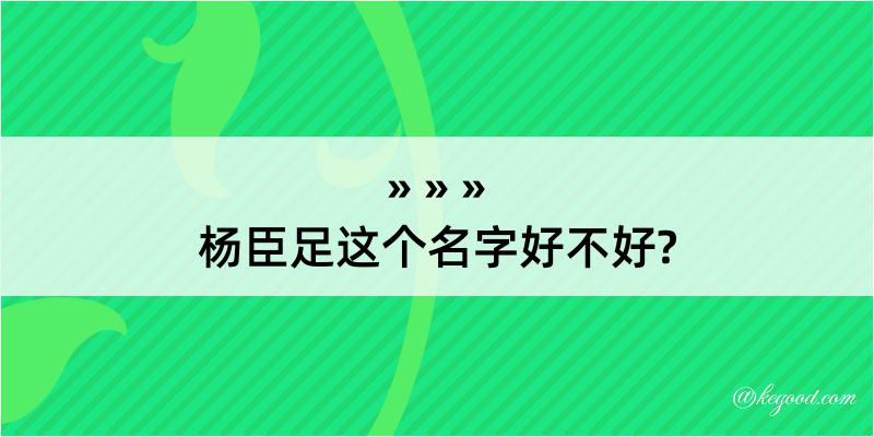 杨臣足这个名字好不好?