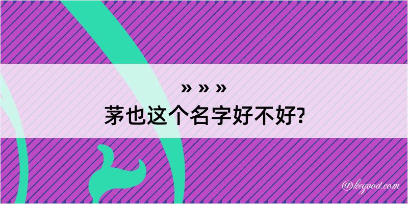 茅也这个名字好不好?